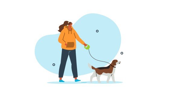 A person keeping active by walking a brown and white dog on a leash. 